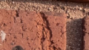 Cambios en el programa SNAP podrían dejar a millones de estadounidenses sin sus beneficios