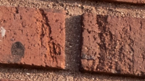 Cambios en el programa SNAP podrían dejar a millones de estadounidenses sin sus beneficios