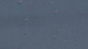 Cupones de alimentos SNAP, reinscripción obligatoria