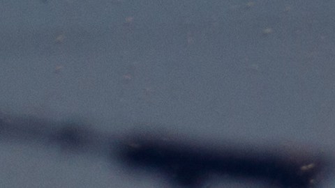 Cupones de alimentos SNAP, reinscripción obligatoria