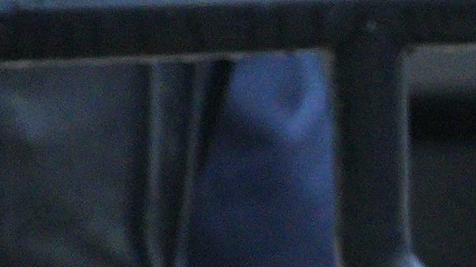 La fiscalía presentó cargos penales contra el propietario de una vivienda en Indiana que disparó y mató a la mujer.