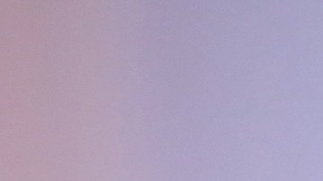 Dalílah Polanco Joanna Vega Biestro