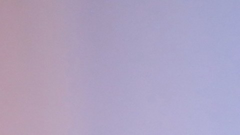 Dalílah Polanco Joanna Vega Biestro