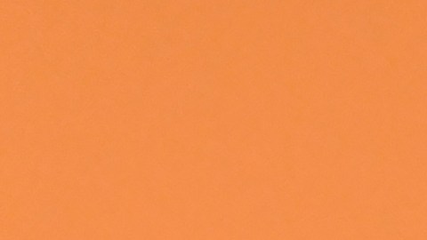 ¡El nuevo disco de Rosalía ‘Lux’ conquista a la crítica!