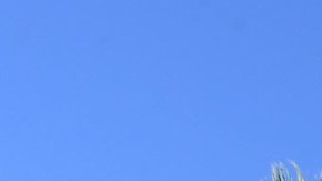 LOS ANGELES, CA - SEPTEMBER 18: Los Angeles Dodgers' Dodger Stadium Express on September 18, 2023 at Union Station & Dodger Stadium in Los Angeles, California.