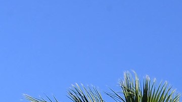 LOS ANGELES, CA - SEPTEMBER 18: Los Angeles Dodgers' Dodger Stadium Express on September 18, 2023 at Union Station & Dodger Stadium in Los Angeles, California.