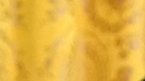 President Donald Trump, right, greets Los Angeles Dodgers' Shohei Ohtani during a ceremony to honor the Major League Baseball 2024 World Series Champion team in the East Room of the White House, Monday, April 7, 2025, in Washington. (AP Photo/Evan Vucci)