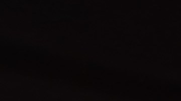 DoorDash y Family Dollar