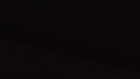 DoorDash y Family Dollar