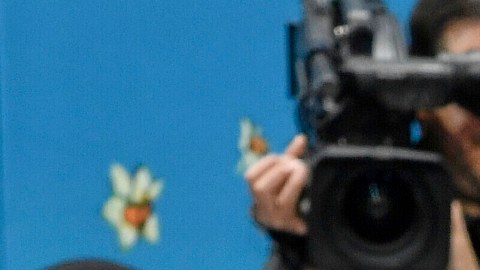 Dua Lipa es captada bailando salsa con Callum Turner en Ciudad de México