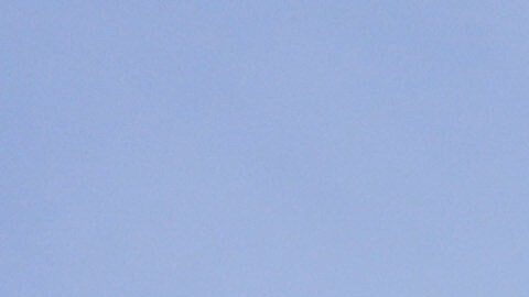 Gary Rush, College Park, MD, holds a sign before a news conference on the Epstein files in front of the Capitol, Tuesday, Nov. 18, 2025, in Washington. (AP Photo/Mariam Zuhaib)