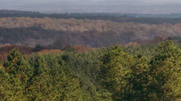 El exclusivo Jeep Wrangler Commando 392