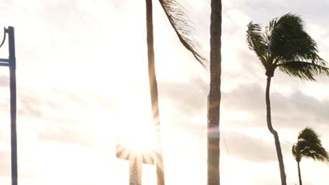 Carrera por la gubernatura en Florida