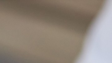 Enfermedades autoinmunes: o cuando el sistema de defensa se vuelve en contra