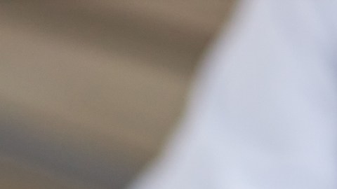 Enfermedades autoinmunes: o cuando el sistema de defensa se vuelve en contra