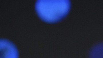 Eric Trump, hijo del presidente de la nación