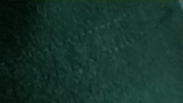 Estudios muestran que la clase media en EE.UU. preocupada por su futuro financiero