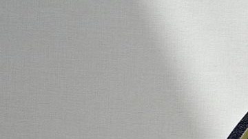 Buró Federal de Investigaciones (FBI) El FBI parece haber adoptado una posición intolerante