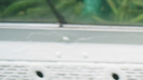 An immigrant mother originally from Guatemala purchases fresh fruits for her children with the balance left on her California EBT (Electronic Benefit Transfer) card used for SNAP benefits, in Los Angeles, Friday, Oct. 31, 2025. (AP Photo/Damian Dovarganes)