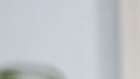 Feng shui para atraer prosperidad al hogar.