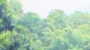 Ferka Flor Rubio La Granja VIP