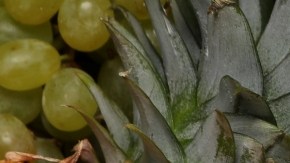 Cuál es la mejor hora para comer frutas y el mito de la fermentación digestiva