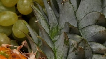 Cuál es la mejor hora para comer frutas y el mito de la fermentación digestiva