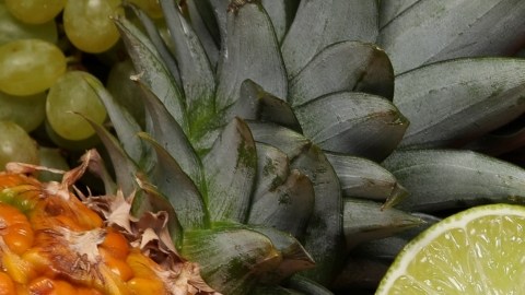 Cuál es la mejor hora para comer frutas y el mito de la fermentación digestiva