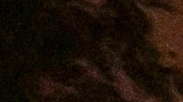 Fans celebrate in the streets in Los Angeles after the Los Angeles Dodgers defeated the Toronto Blue Jays in Game 7 of baseball's World Series Saturday, Nov. 1, 2025.(AP Photo/Ethan Swope)