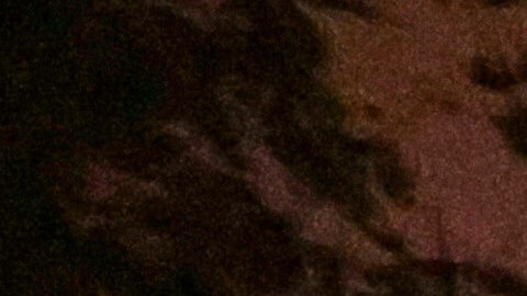 Fans celebrate in the streets in Los Angeles after the Los Angeles Dodgers defeated the Toronto Blue Jays in Game 7 of baseball's World Series Saturday, Nov. 1, 2025.(AP Photo/Ethan Swope)