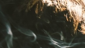 Enemigo silencioso: efectos del consumo de tabaco en la salud cardiovascular