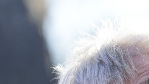 Harrison Ford, actor de Hollywood