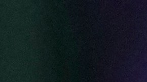 Llaman a seguir participando en manifestaciones contra el Servicio de Control de Inmigración y Aduanas.