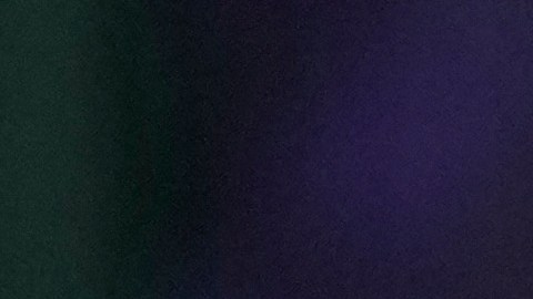 Llaman a seguir participando en manifestaciones contra el Servicio de Control de Inmigración y Aduanas.