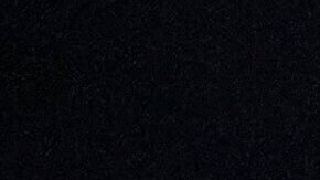 Los adolescentes fueron detenidos durante un operativo en donde se buscaba a un inmigrante.