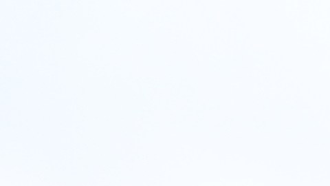 Empleados de Starbucks buscan mejorar sus condiciones laborales.