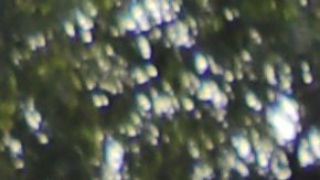 Enrique Ruiz, su esposa Stephanie y su hija Valerie, de 16 meses, fueron afortunados al recibir una despensa familiar y un pavo para celebrar el Día de Accion de Gracias.