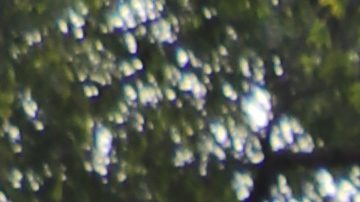 Enrique Ruiz, su esposa Stephanie y su hija Valerie, de 16 meses, fueron afortunados al recibir una despensa familiar y un pavo para celebrar el Día de Accion de Gracias.