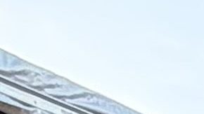 Miembros de la campaña '2 millones de cartas' que viajan a Washington.