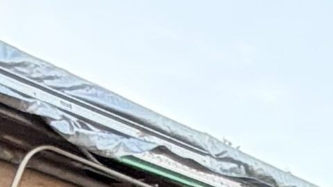 Miembros de la campaña '2 millones de cartas' que viajan a Washington.