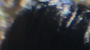 Almanzor Ramos, su hijo Pedro y su esposa Basilia López disfrutan de un plato de comida.