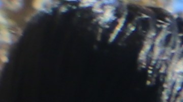 Almanzor Ramos, su hijo Pedro y su esposa Basilia López disfrutan de un plato de comida.