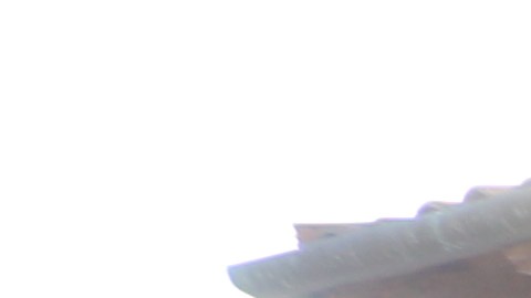 Decenas se manifestaron en el Home Depot de Hawthorne para iniciar un boicot en apoyo a los inmigrantes.