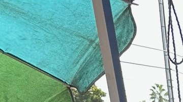 Las redadas han provocado un desplome en las ventas en el Corredor Salvadoreño.