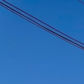 Los Callejones y el Distrito de la Moda en Los Ángeles se enfrentan a una crisis ante el desplome de las ventas.