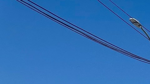 Los Callejones y el Distrito de la Moda en Los Ángeles se enfrentan a una crisis ante el desplome de las ventas.