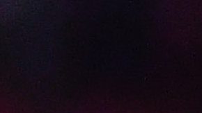 El último club que dirigió el Chepo fue el Puebla.