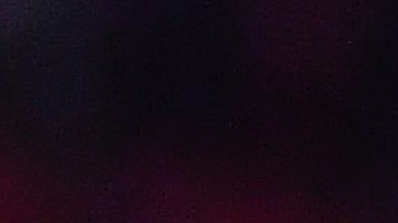 El último club que dirigió el Chepo fue el Puebla.