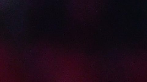 El último club que dirigió el Chepo fue el Puebla.