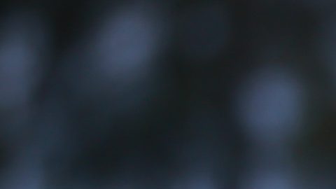 López es una de las jóvenes promesas del Toluca.